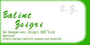 balint zsigri business card